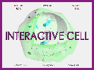 Interactive Cell